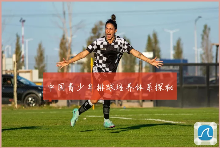 中国青少年排球培养体系探秘